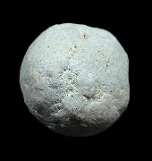 �١�����ط��س �.��ʹ �Ѵ��ǻ��