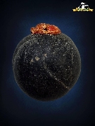 �١��ФӴդ��� �.�ҹ �Ѵ�����(�ش����)��Ҿ����ó��������