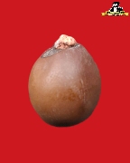 �١��ҷ � �ҹ �Ѵ����� ��Ҿ����ó�