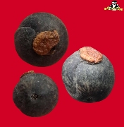 �١��ФӴդ��� �.�ҹ �Ѵ����� �.�ѷ�ا