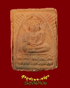 767.��м������ö�� ����Ҩ����ͺ �Ѵ��Ҫ����� �.ʡŹ�� ��2567 ��������Ѻ